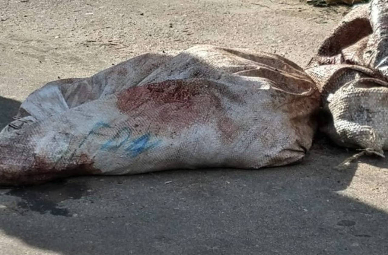 Corpo é encontrado esquartejado dentro de sacos com sigla da FDN