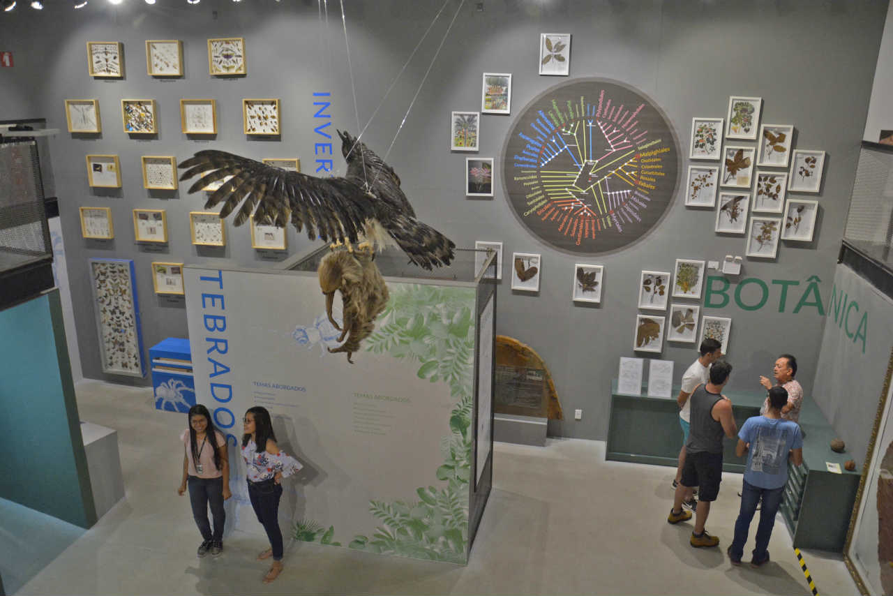 Bosque da Ciência é reaberto para visitação com apoio da Prefeitura