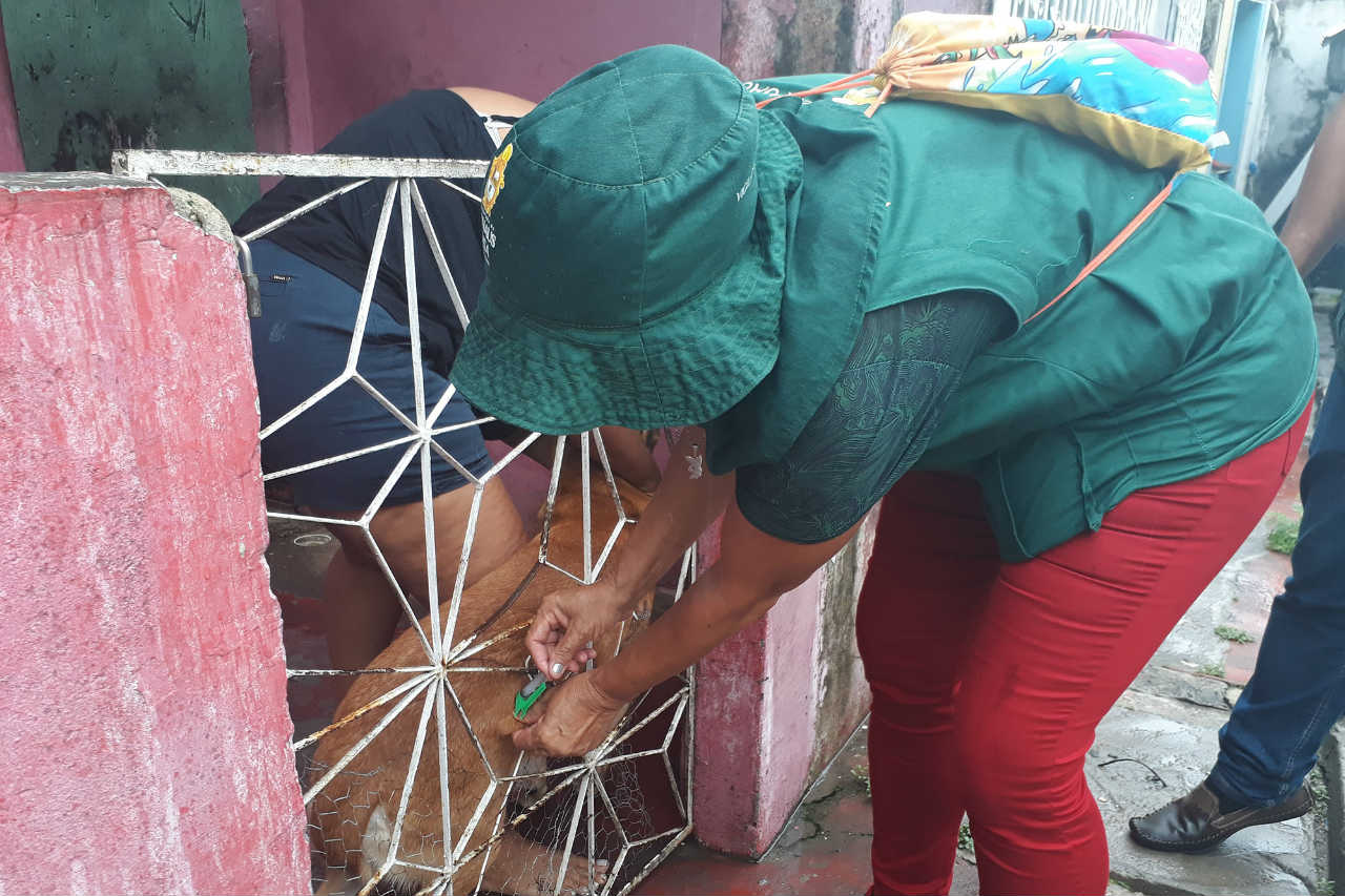 Inscrições para contratação temporária de 250 vacinadores seguem até sexta-feira