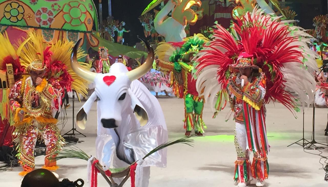 Garantido teve sua melhor noite em muitos anos e está confiante no título