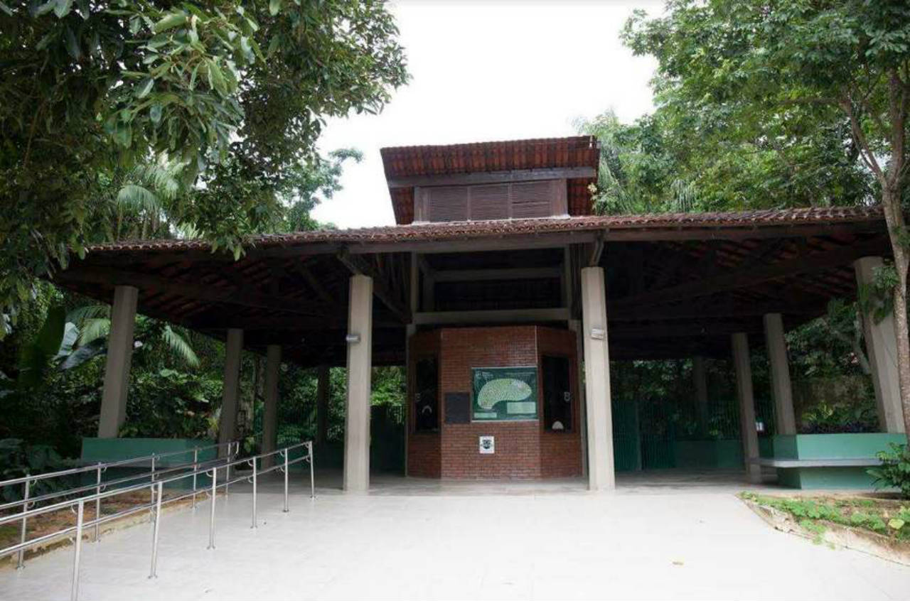 Bosque da Ciência será reaberto neste sábado