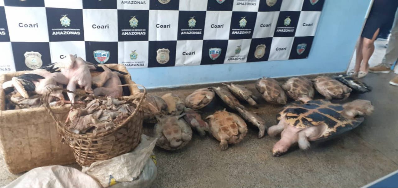 Polícia Civil apreende carnes de animais silvestres vendidos ilegalmente em Coari