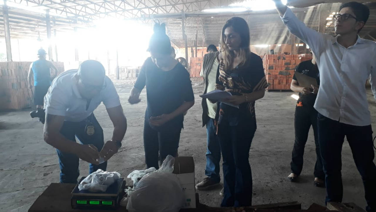 Polícia Civil incinera 3,5 kg de drogas em Parintins