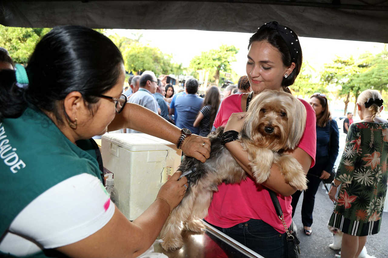 Prefeitura inicia campanha de vacinação antirrábica animal