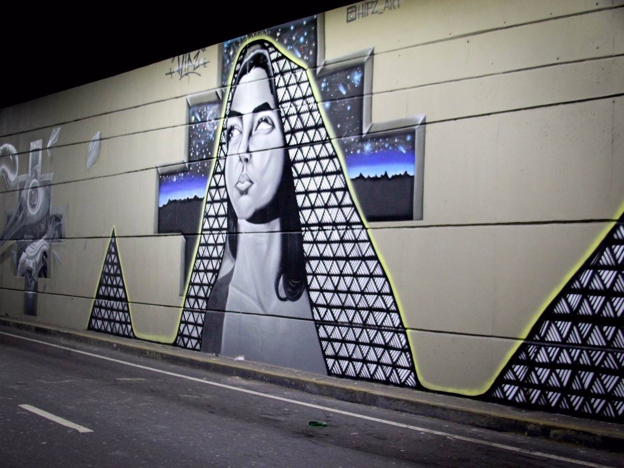 Artista arrecada dinheiro para pintar mural em homenagem aos 350 anos de Manaus