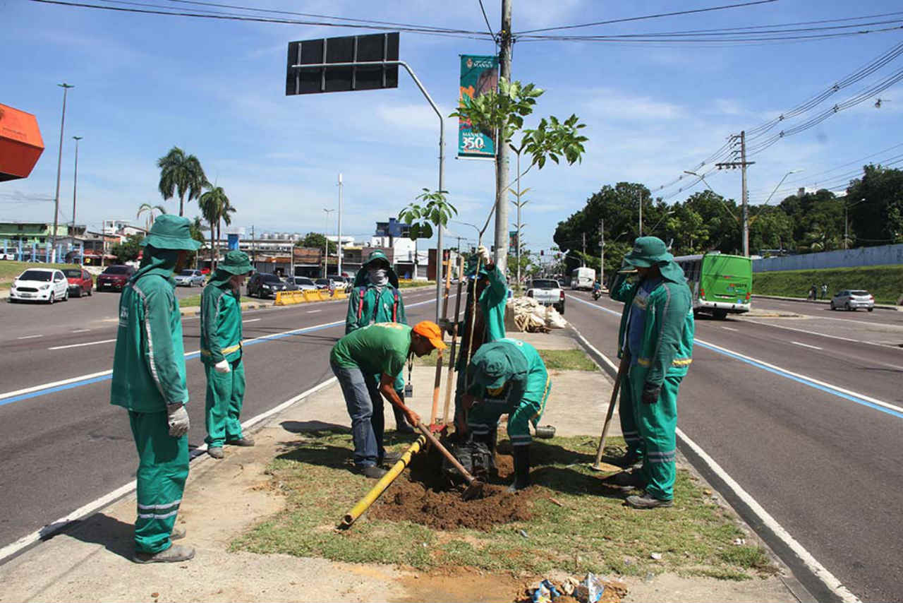 Arboriza Manaus planta mais 100 árvores na Constantino Nery