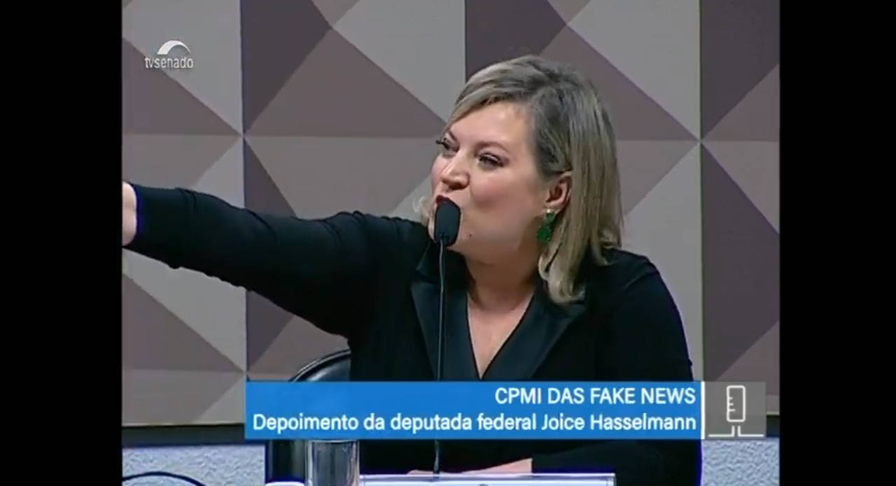 Rede de Fake News de Carluxo usou R$ 491 mil em recursos públicos, diz Joice Hasselmann