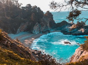 Growing up in San Francisco I learned how to live with the wind and the fog and a brilliant soft natural light.