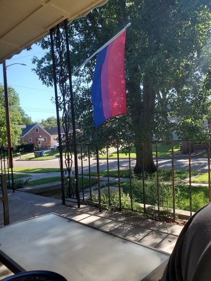 photo of a bi pride flag flying from my porch