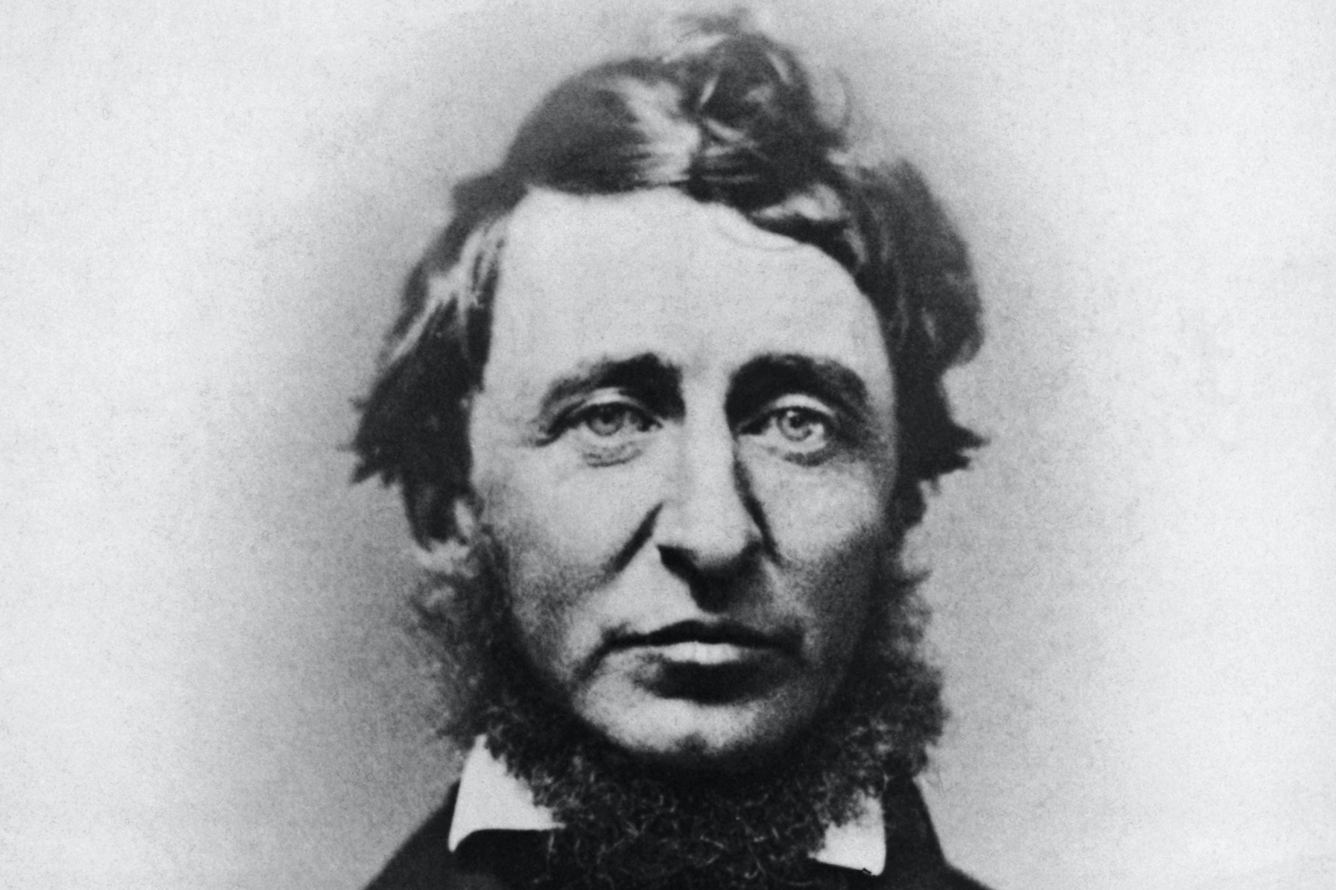 Ｈｅｎｒｙ　Ｄ．Ｔｈｏｒｅａｕ：ｈｉｓ　ｅｄｕｃａｔｉｏｎａｌ　ｐｈｉｌｏｓｏｐ/音羽書房鶴見書店/小野美知子（単行本） Henry D．Thoreau：his educational