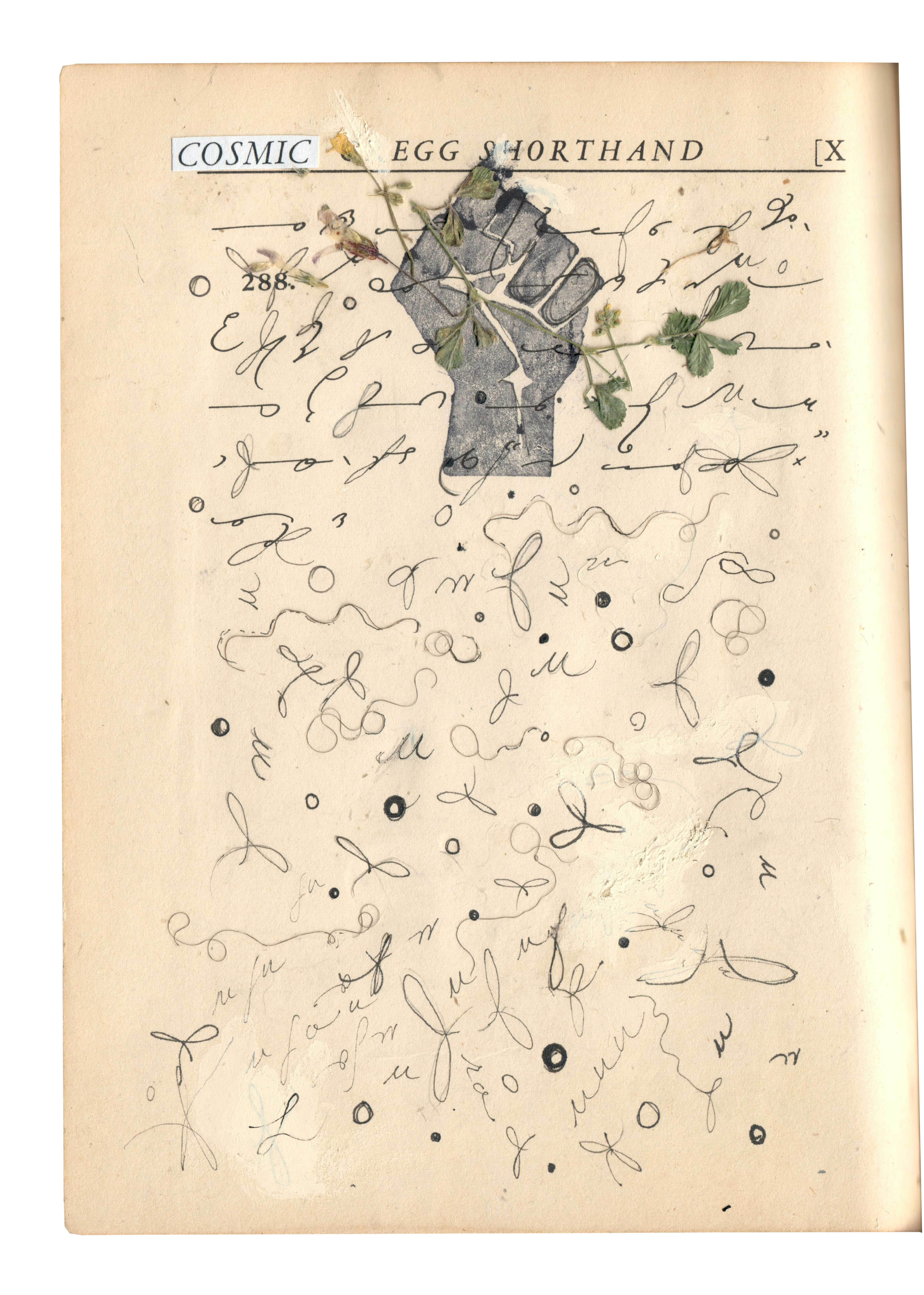 An aged sheet from Gregg Shorthand with a black power fist at the top and some dried plant matter. The text at the top has been altered to say Cosmic Egg Shorthand.