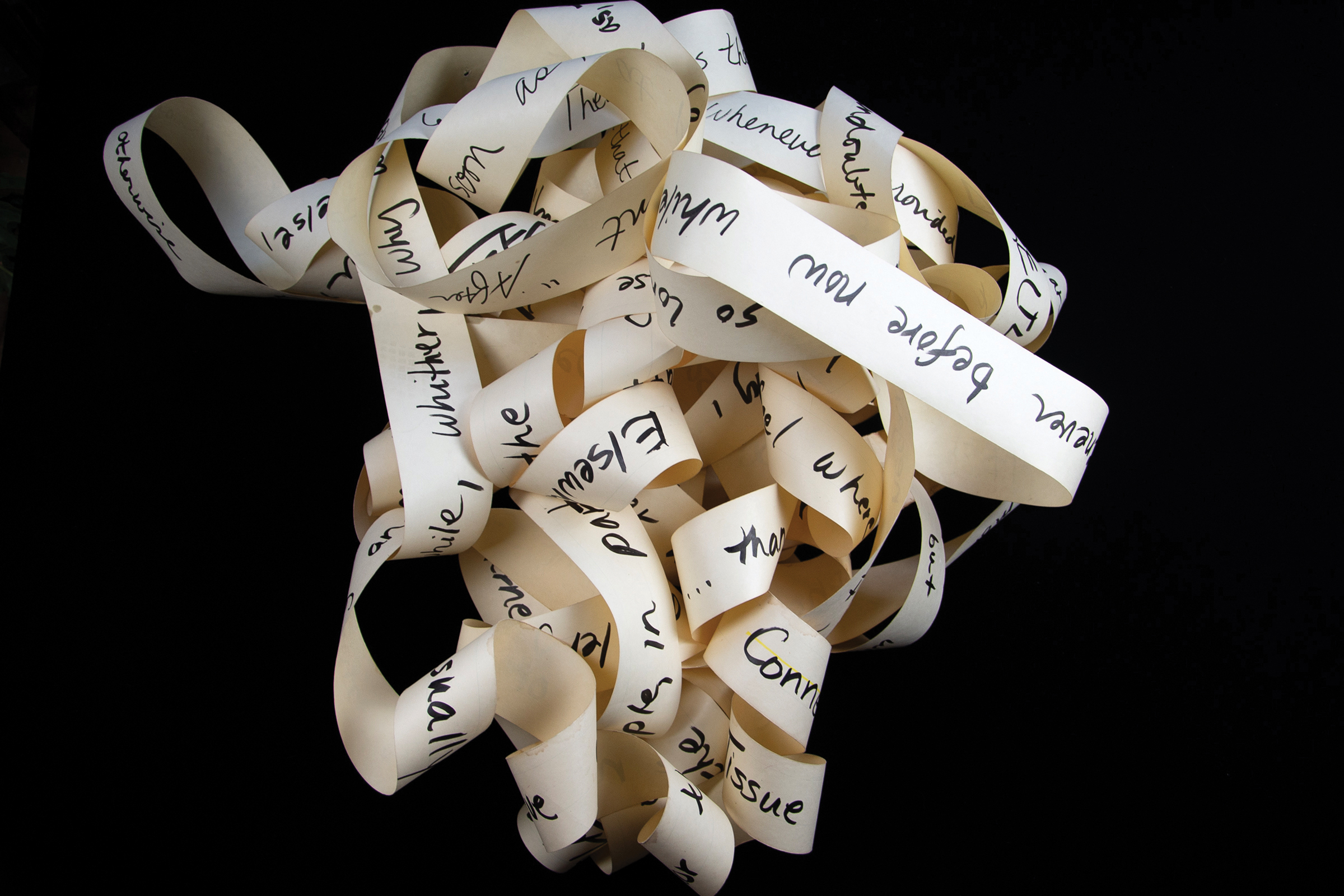 A narrow and long piece of white paper with handwritten black script twists and winds around itself in a jumble.