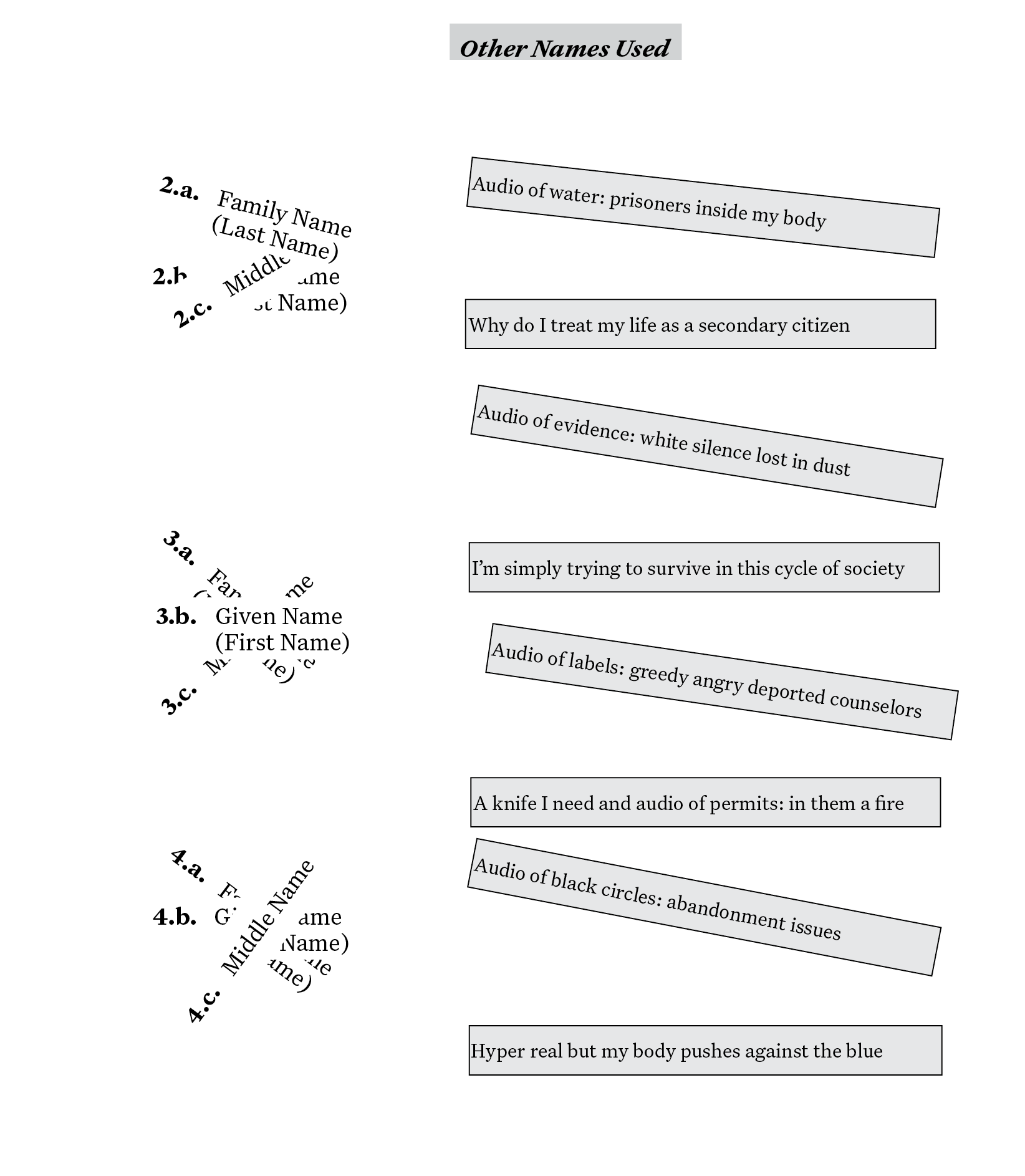 Under the header Other Names Used are a series of collaged labels from a form with boxes filled in with poetic text.