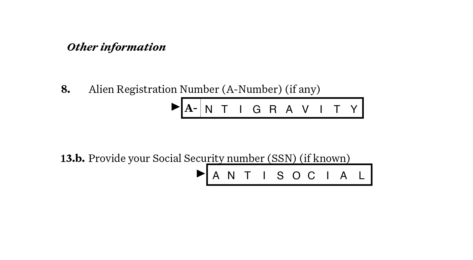 Under the header Other information are two boxes. One asks for the alien registration number. The answer is filled in as antigravity. The other asks for the SSN and is filled in as antisocial.