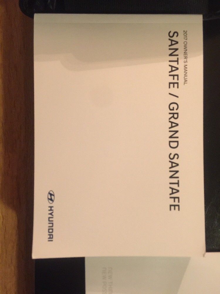 2017 HYUNDAI SANTA FE OWNERS MANUAL PDF FREE DOWNLOAD visual data 2