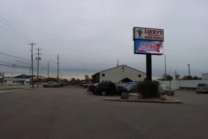 Lucky's Auto Parts LED Sign