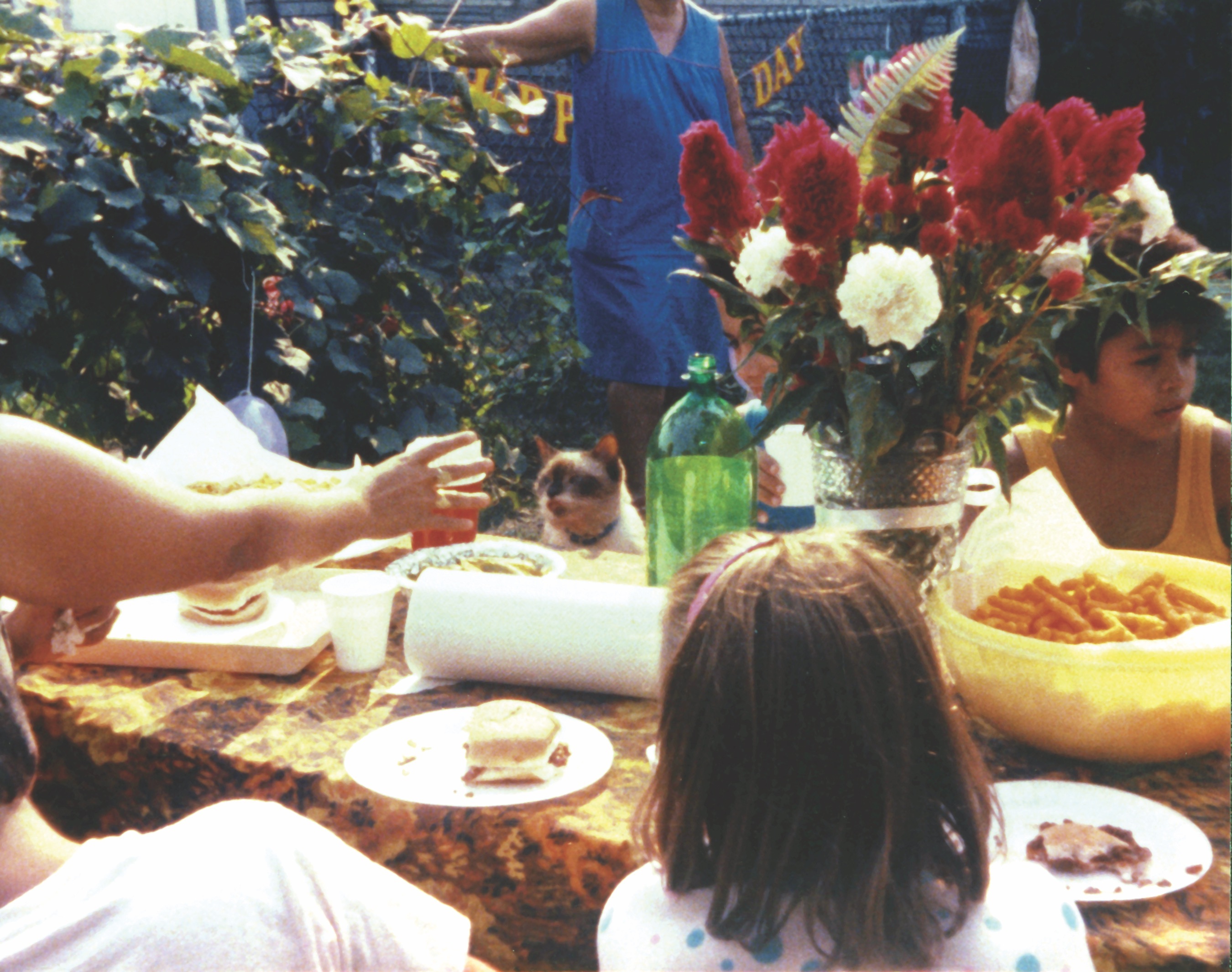 family sitting around picnic table