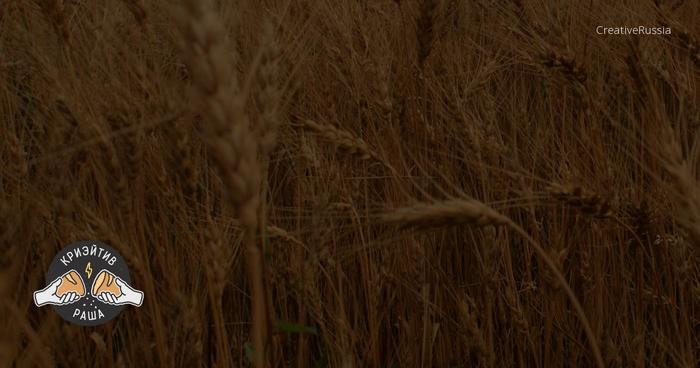 Badge201604051418511907