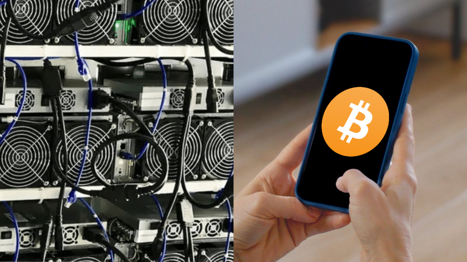 How Bitcoin Mining Hosting Works