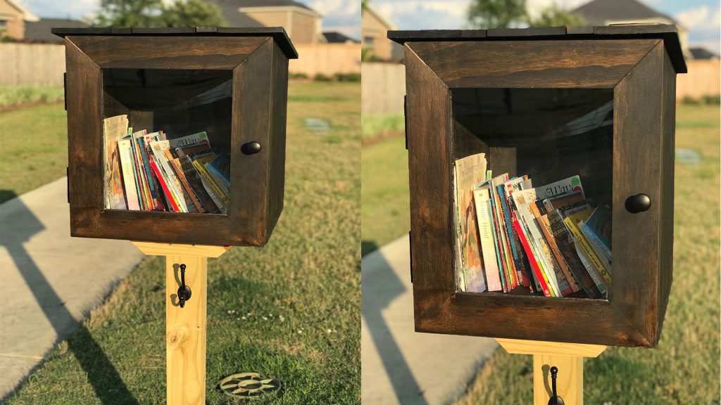 Dellrose little library Emory Glen