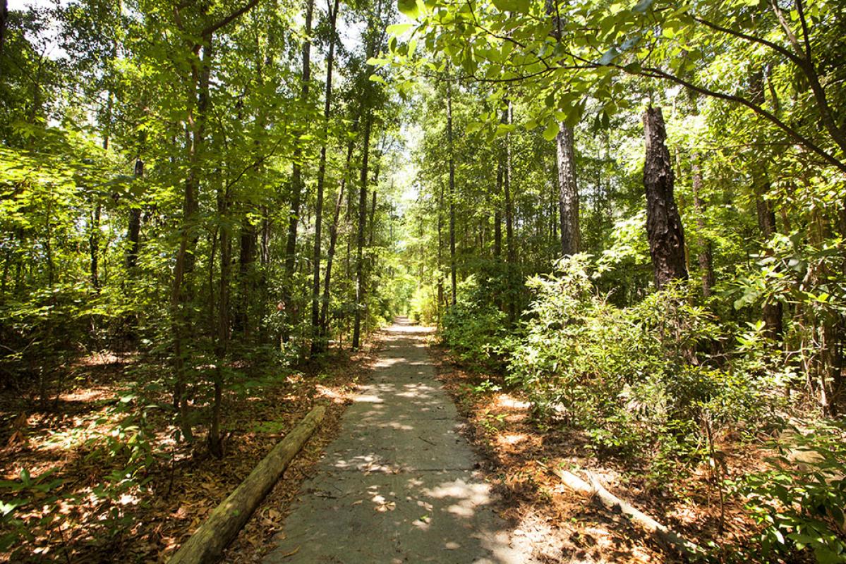 The Bluffs Richmond Hill, GA 31324