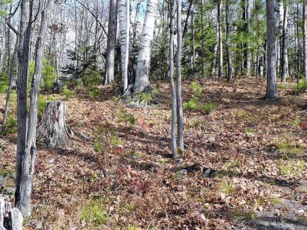 Lot 3 PIER LAKE RD Minocqua, WI 54548