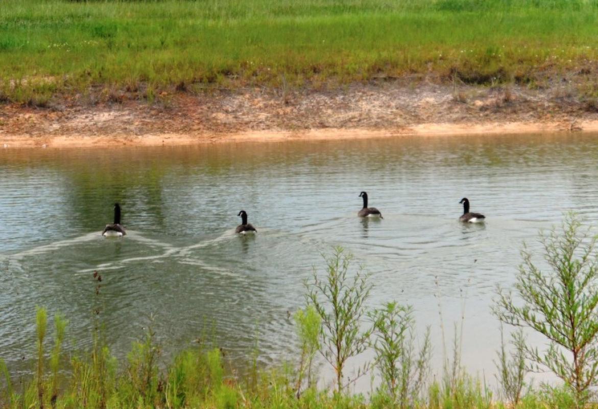 SWEETWATER SUBDIVISION BAXLEY, GA 31513