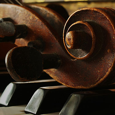 Detail of old musical instruments