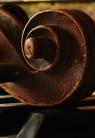 Detail of old musical instruments