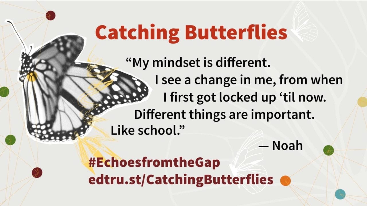 INFOGRAPHIC Catching Butterflies The Education Trust
