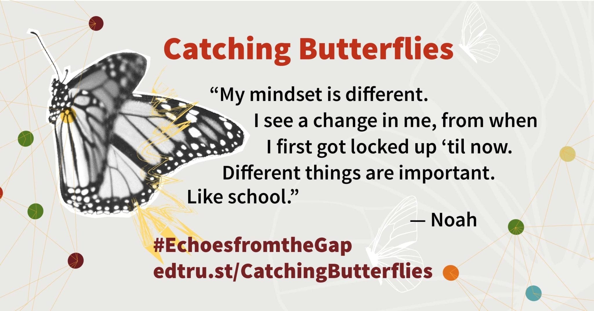 INFOGRAPHIC Catching Butterflies The Education Trust