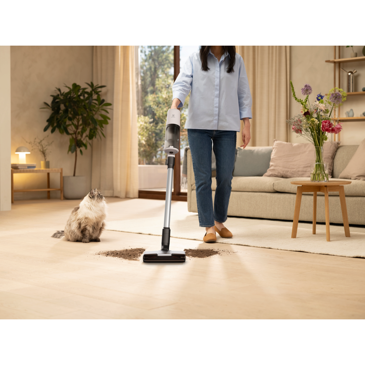 שואב אבק אלחוטי EP61C21SN1