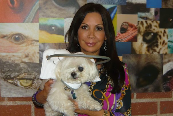 Silvie Bordeaux e seu poddle Muffin. (Foto: Reprodução / Dogster)