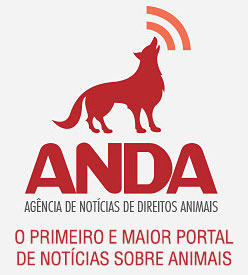 Anda.jor.br (21 posts) Anda.jor.br