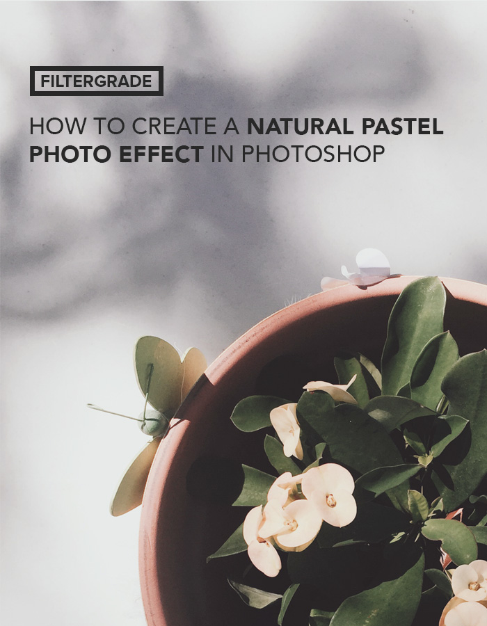 How to Create a Natural Pastel Photo Effect in FilterGrade
