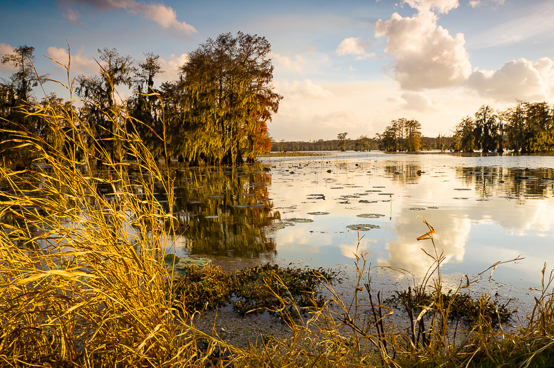 Best Adventures in Louisiana