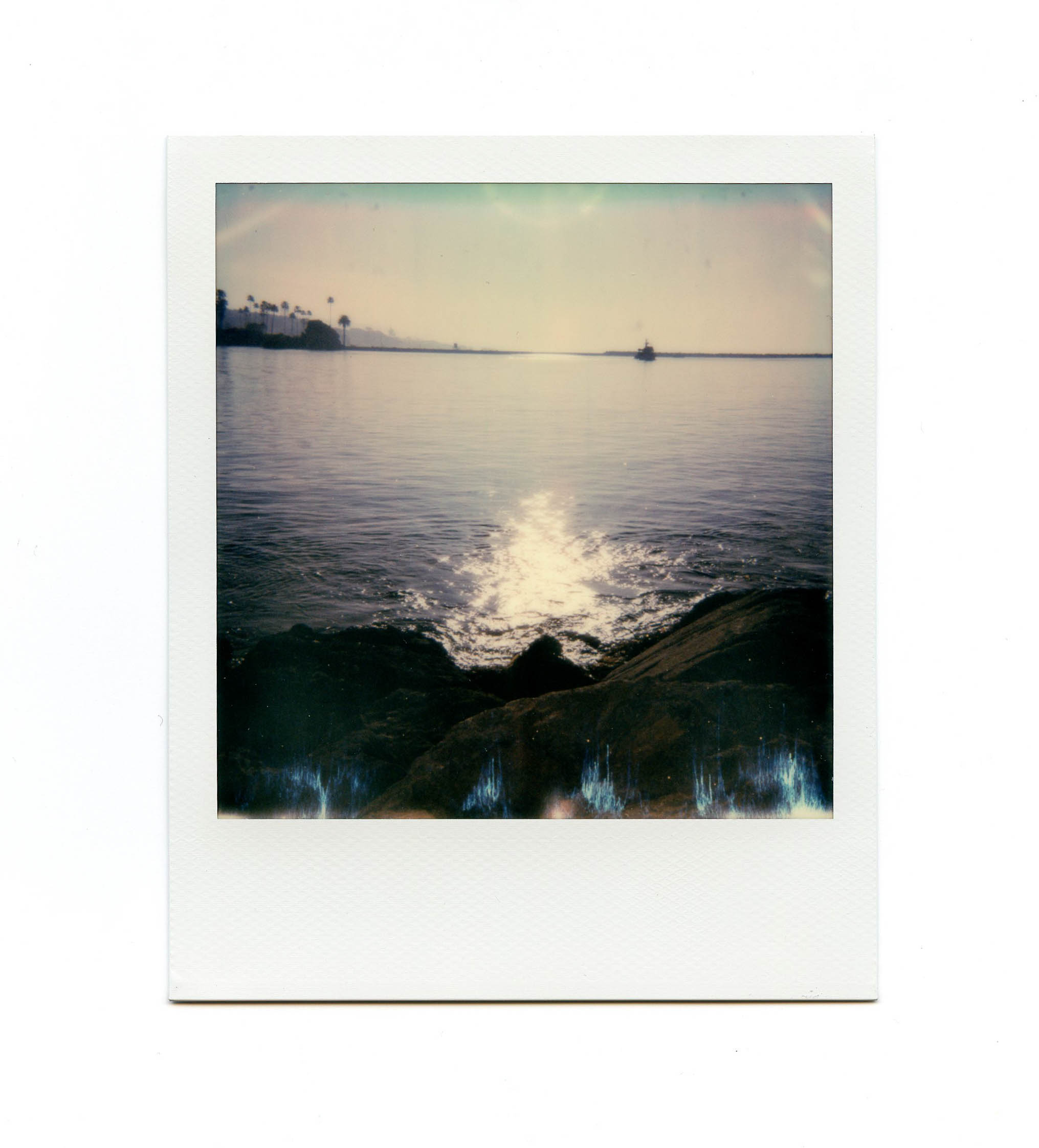 7 Polaroid Sun 600 Instant Film Camera Review - FilterGrade