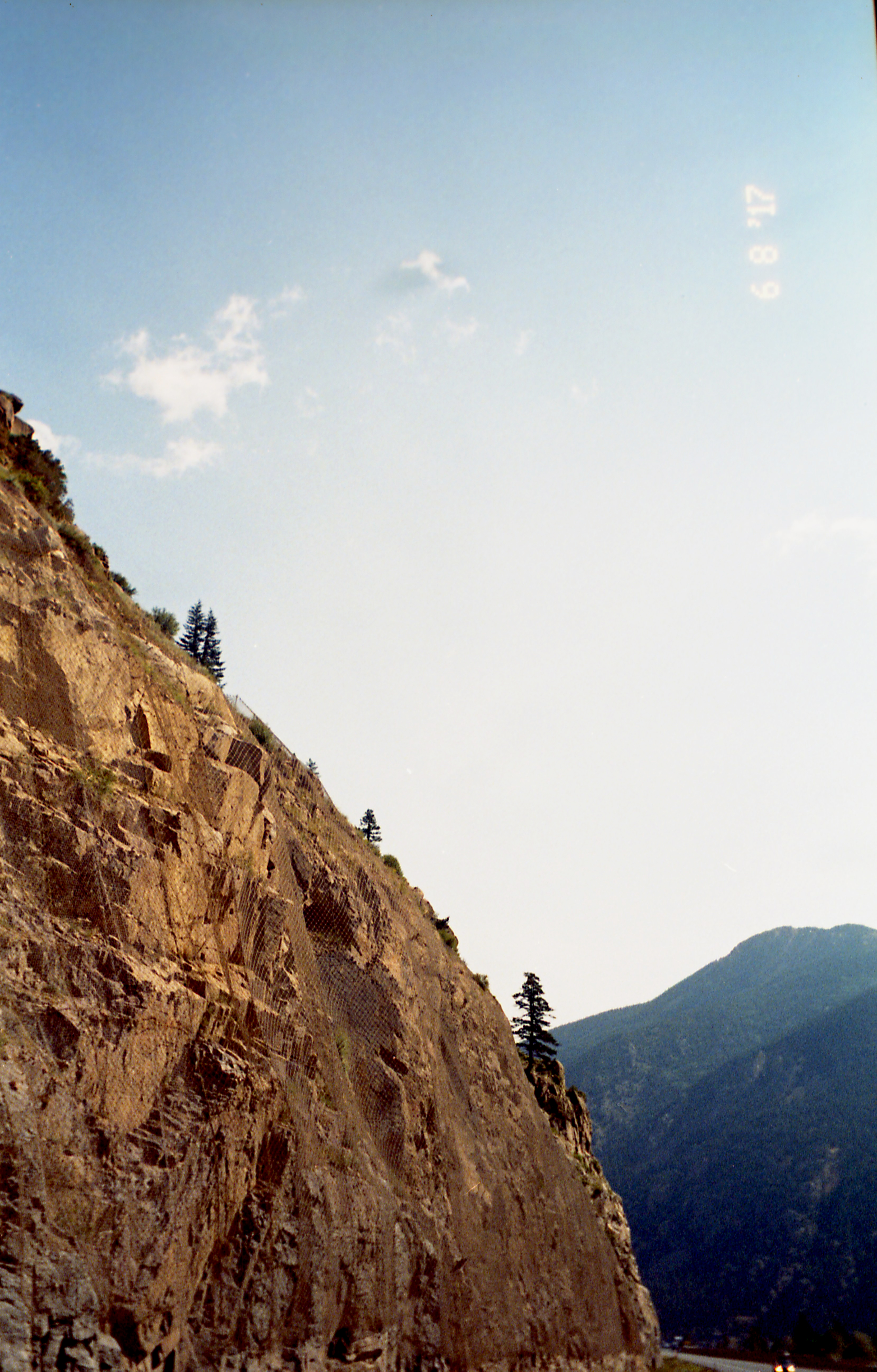 Kodak Portra 800 - The Top 10 Color Negative 35mm Film Stocks - FilterGrade