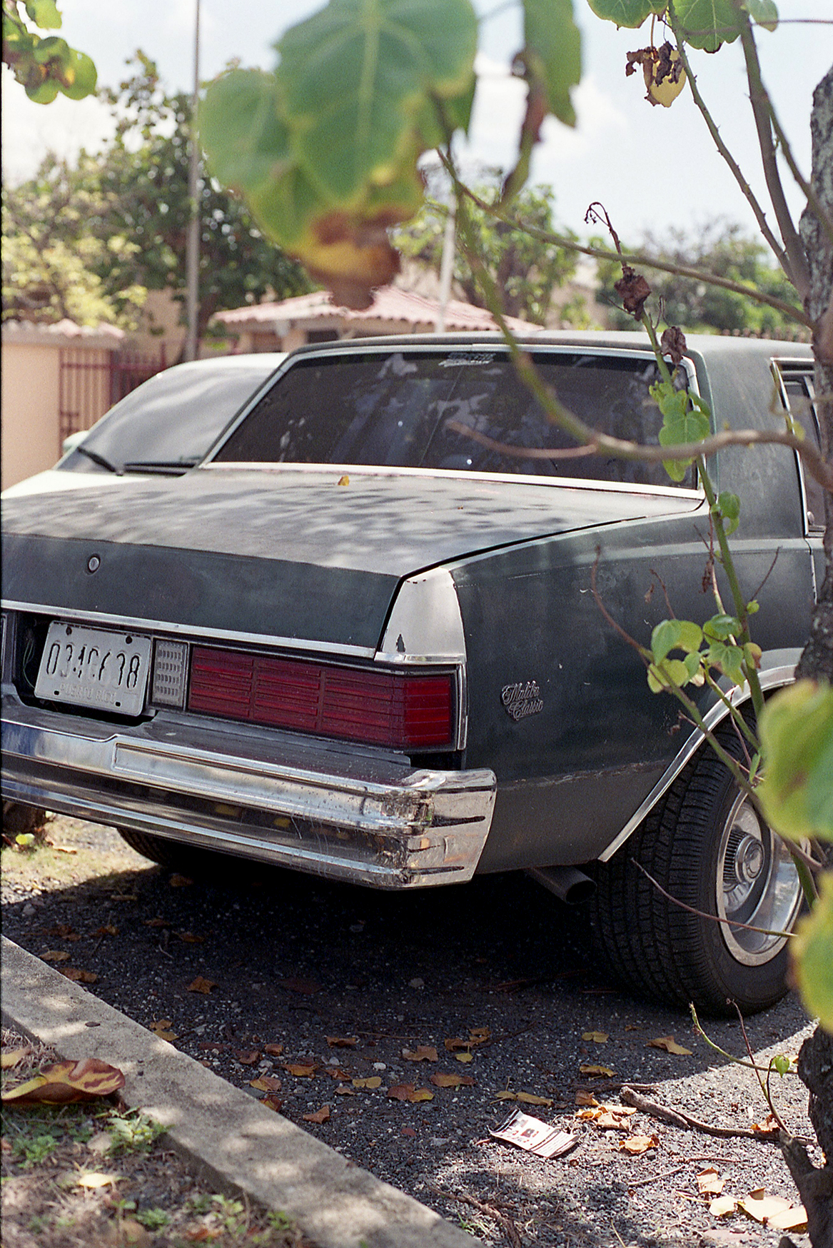 Agfa Vista 400 - The Top 10 Color Negative 35mm Film Stocks - FilterGrade
