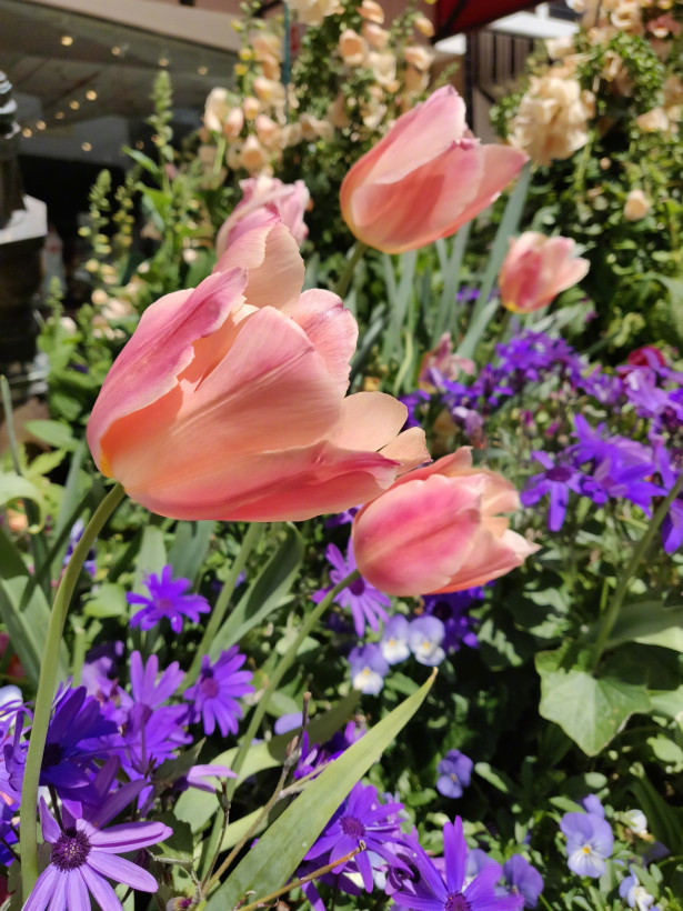 OnePlus 6 Sample 1 - The Best Phones for Mobile Photography - FilterGrade