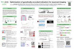 Optimization of genetically encoded indicators for neuronal imaging - SFN 2025 Poster