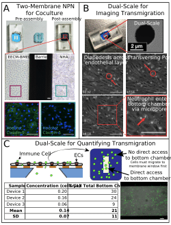 The Modular μSiM: m-µSiM_Figure_7.ai