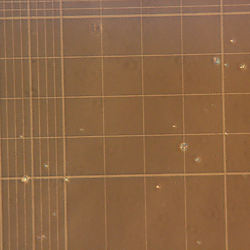 The Modular μSiM: Transmigration_HemocytometerCounts_Fig7