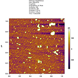 Item - Exploring the holdase activity of supramolecular chaperones with ...