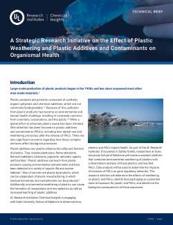 A Strategic Research Initiative on the Effect of Plastic Weathering and Plastic Additives and Contaminants on Organismal Health