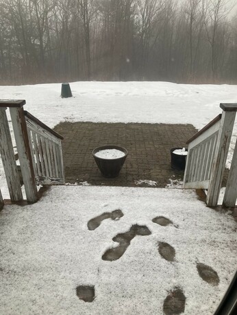 A snowy deck and lawn