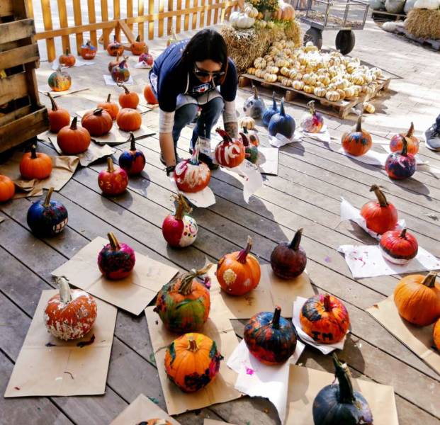 pumpkins decor