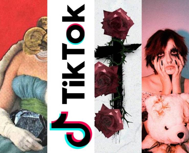 Rose Sex Toy TikTok