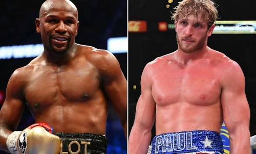 Who won the match between Paul Logan vs Mayweathe