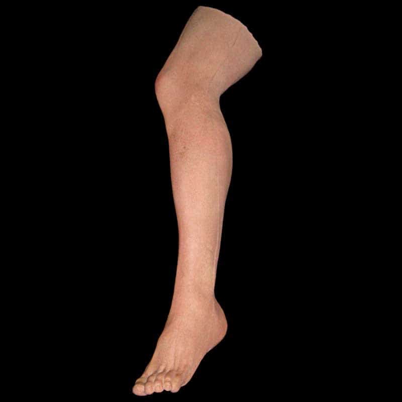 LEGS-M-LEFT-1.jpg